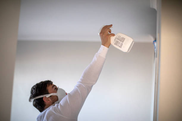 Home Mold Removal in Wayne, NE